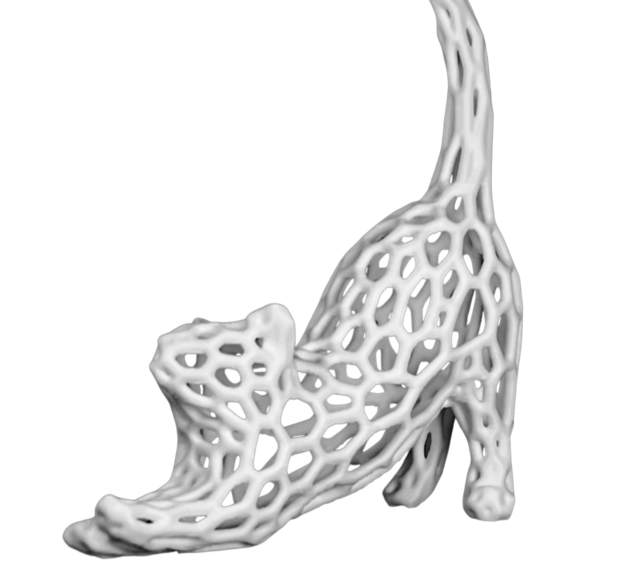 Model image